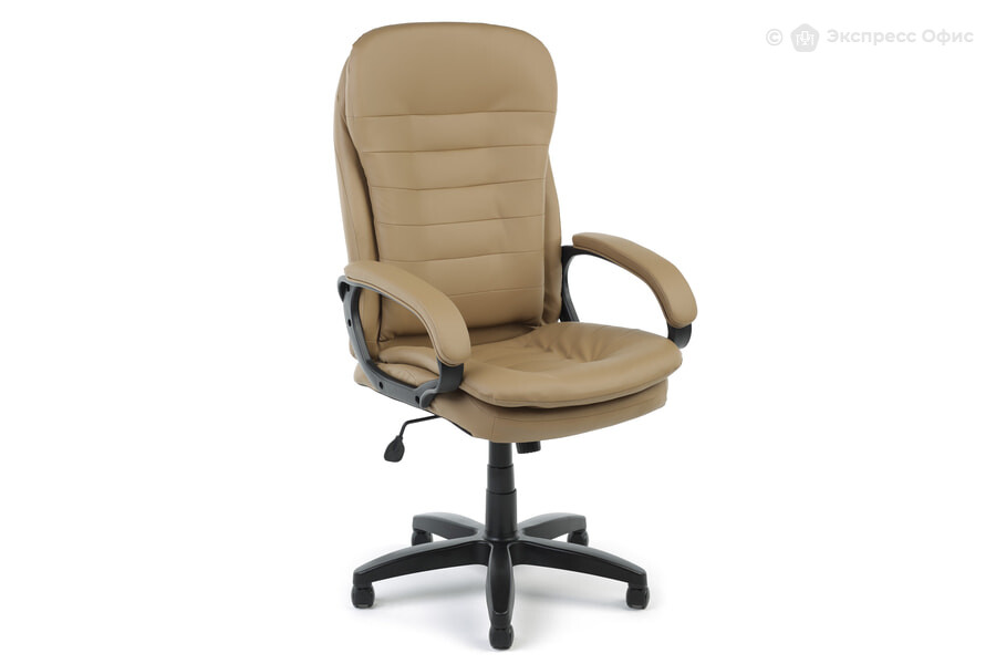  Кресло для руководителя Chairman 795 LT Экокожа бежевая - фото товара 1 из 3