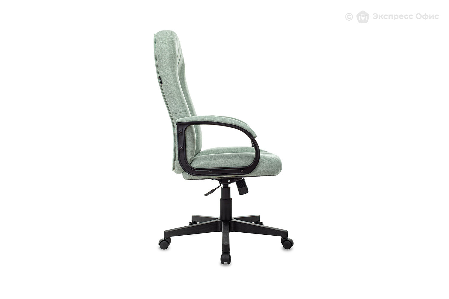 Кресло для руководителя Бюрократ T-898/407-GREEN - фото товара 3 из 5