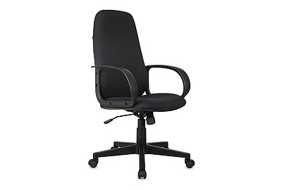 Кресло для руководителя Бюрократ CH-808AXSN/TW-12 - фото товара 1 из 6