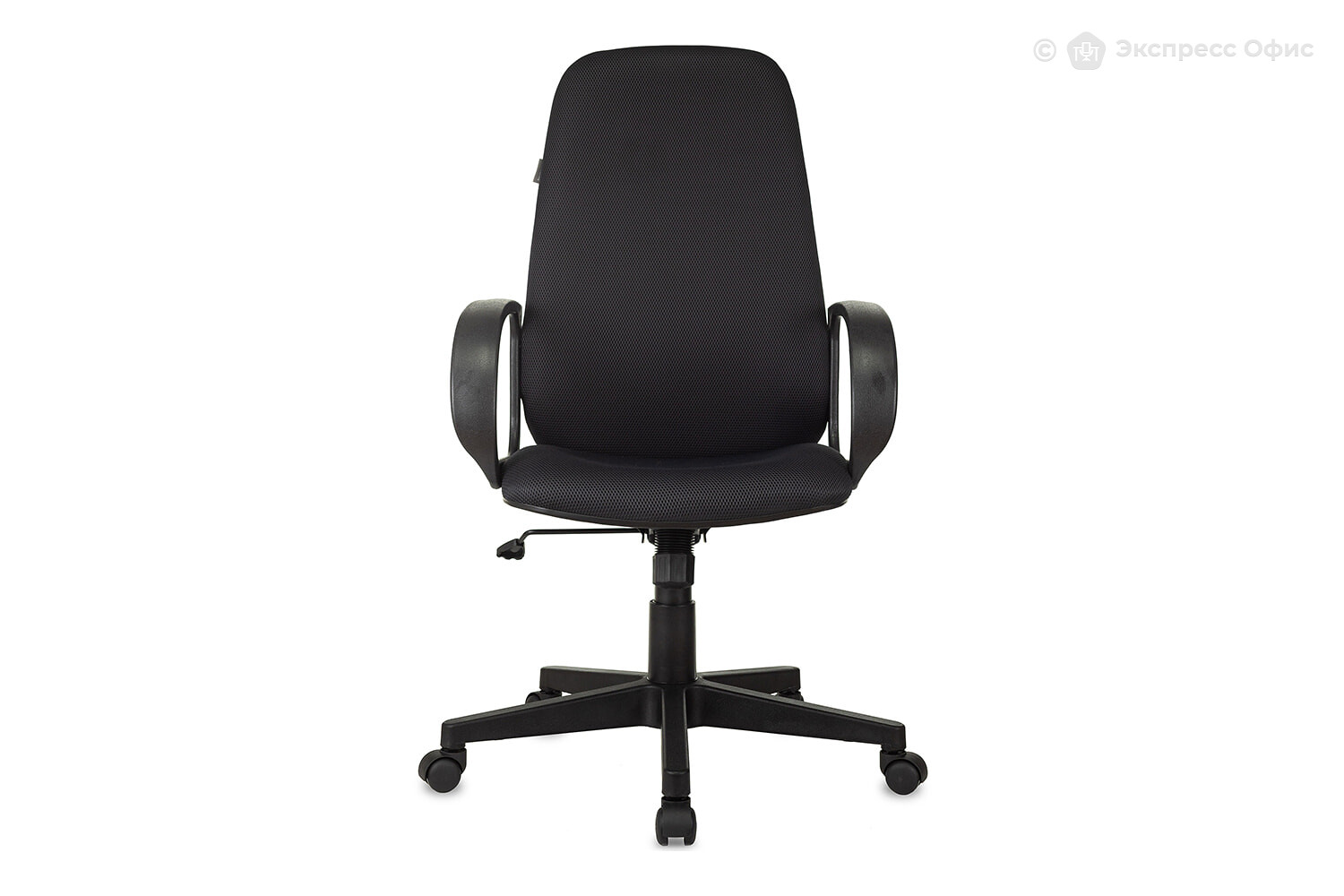 Кресло для руководителя Бюрократ CH-808AXSN/TW-12 - фото товара 2 из 6