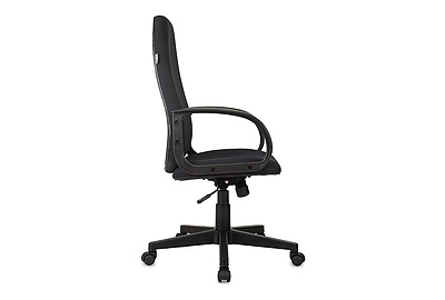 Кресло для руководителя Бюрократ CH-808AXSN/TW-12 - фото товара 3 из 6