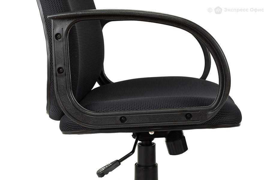 Кресло для руководителя Бюрократ CH-808AXSN/TW-12 - фото товара 5 из 6