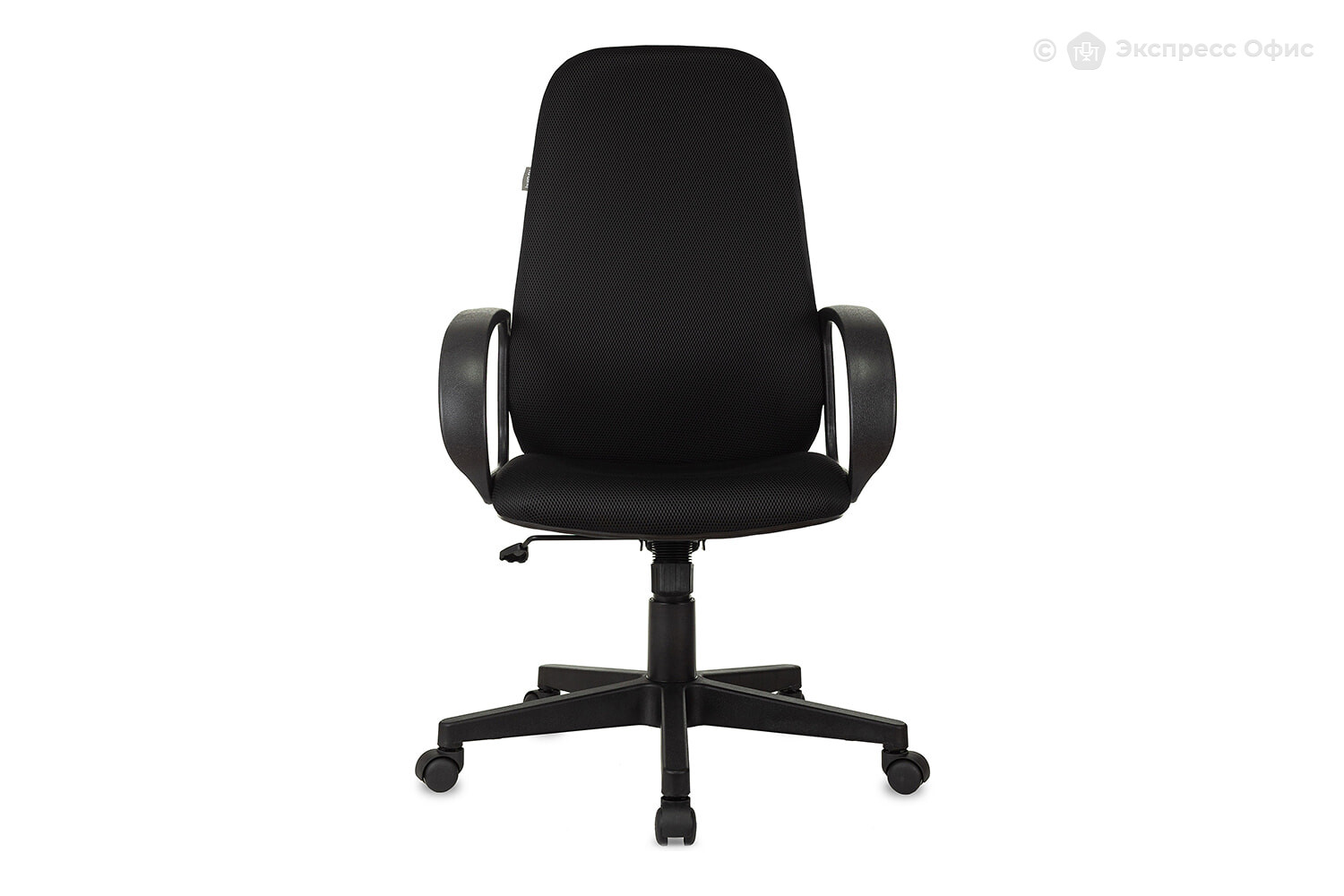 Кресло для руководителя Бюрократ CH-808AXSN/TW-11 - фото товара 2 из 7