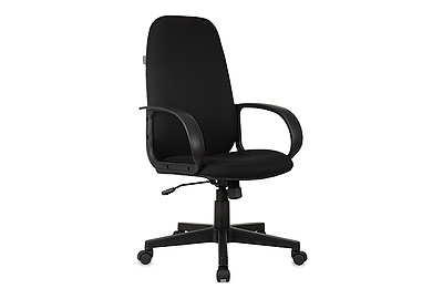 Кресло для руководителя Бюрократ CH-808AXSN/TW-11 - фото товара 1 из 6
