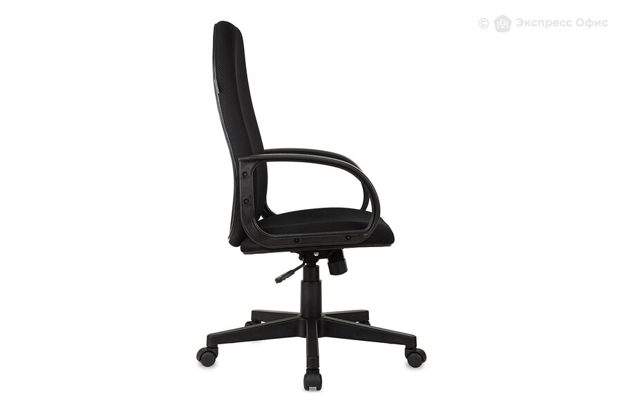 Кресло для руководителя Бюрократ CH-808AXSN/TW-11 - фото товара 3 из 7