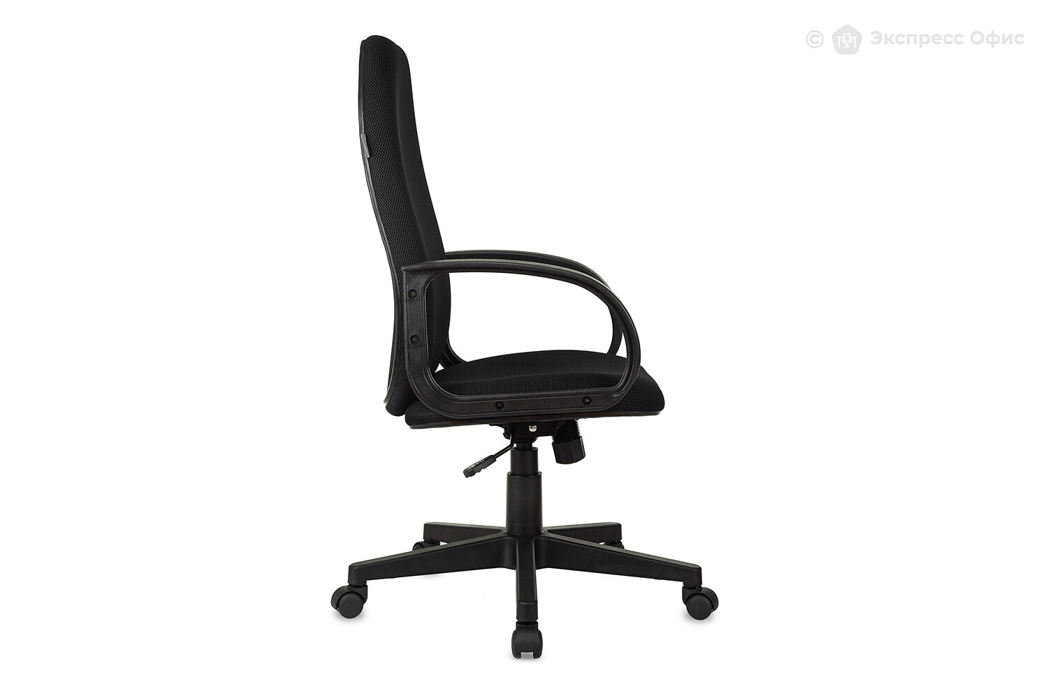 Кресло для руководителя Бюрократ CH-808AXSN/TW-11 - фото товара 3 из 7
