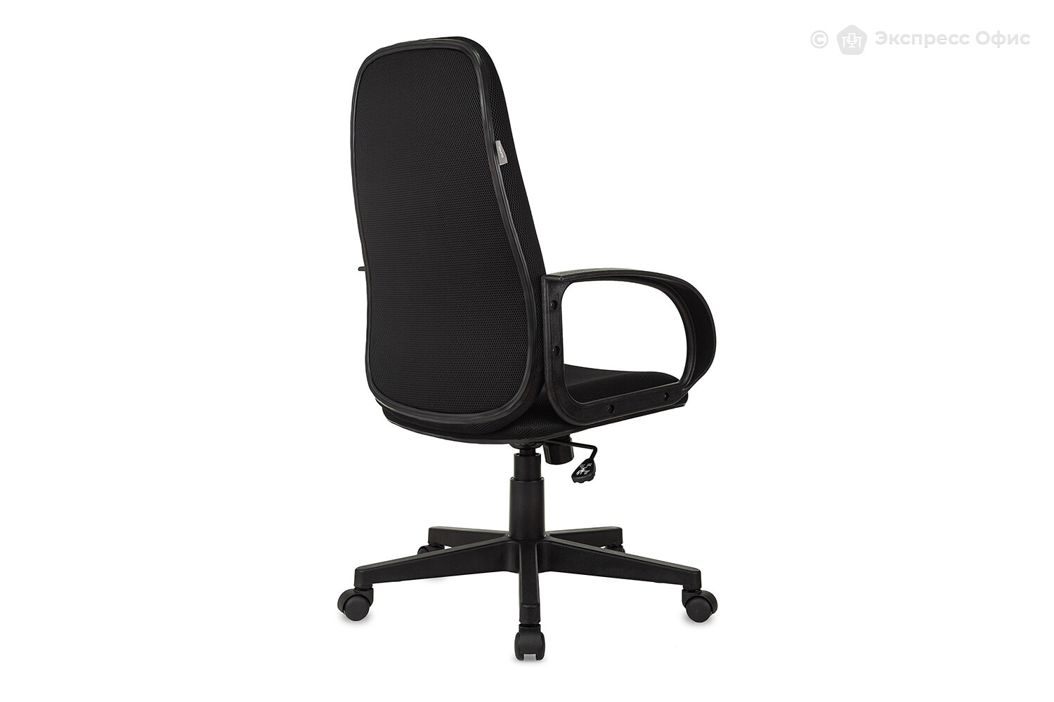 Кресло для руководителя Бюрократ CH-808AXSN/TW-11 - фото товара 4 из 7