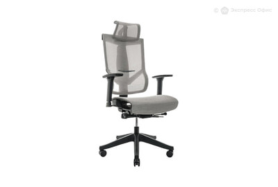 Кресло компьютерное ортопедическое Hoshi Mesh - фото товара 1 из 5