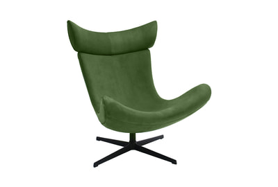 Кресло дизайнерское Toro FR 0663 - фото товара 1 из 7