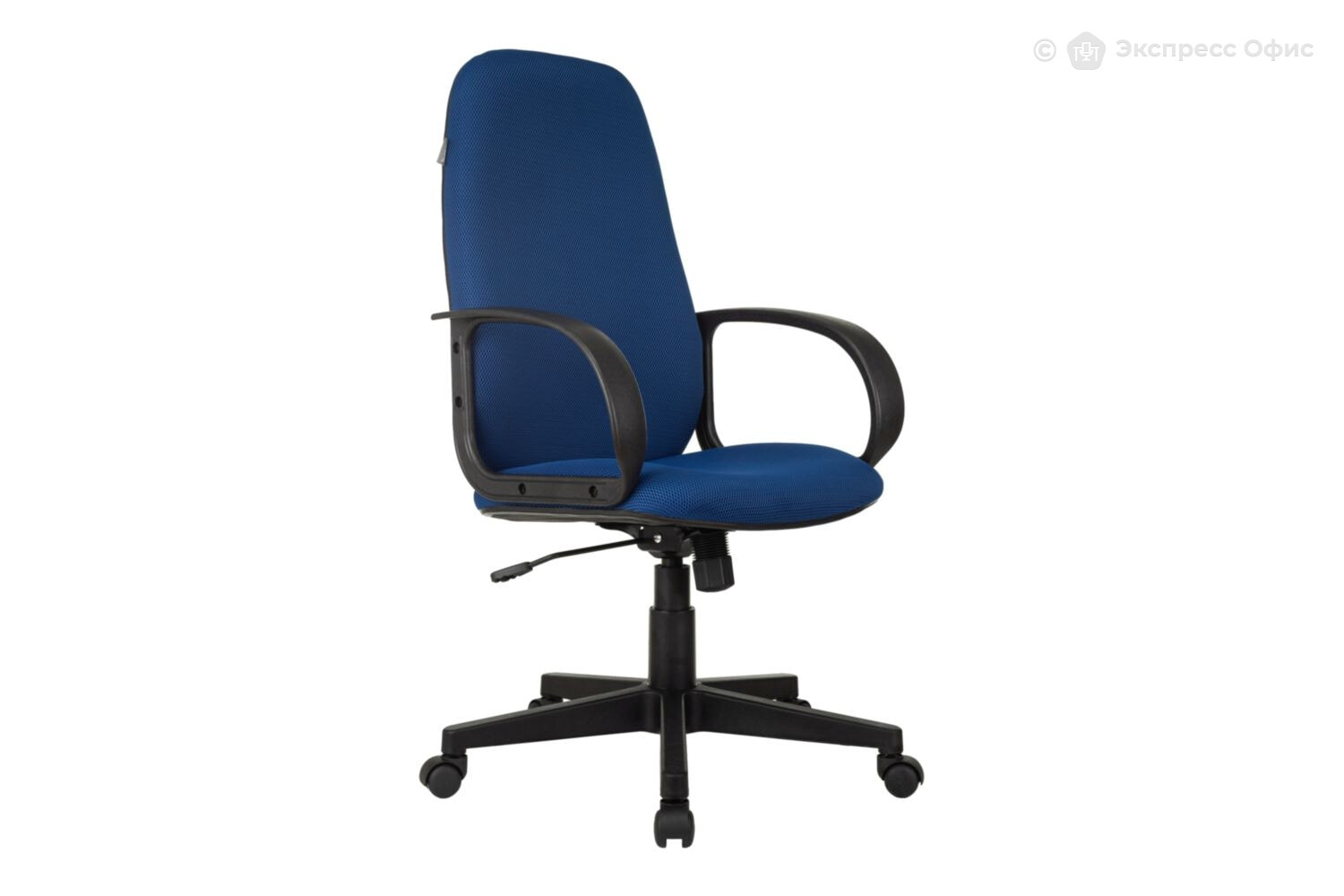 Кресло для руководителя Бюрократ CH-808AXSN/TW-10 - фото товара 1 из 10