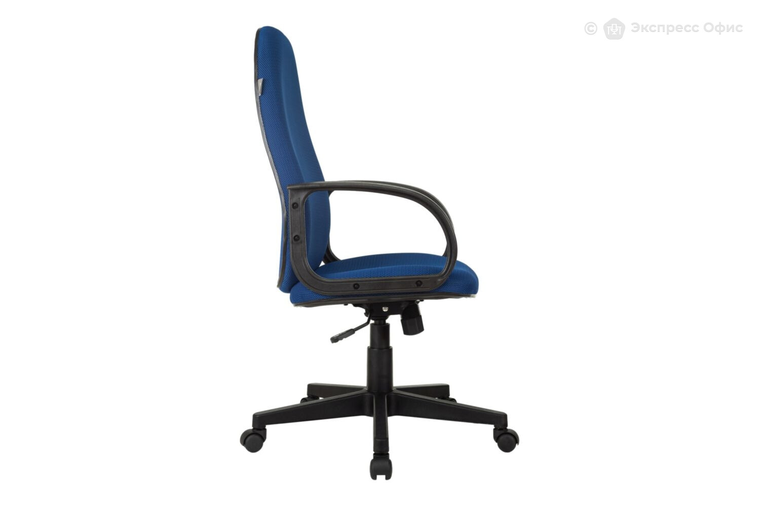 Кресло для руководителя Бюрократ CH-808AXSN/TW-10 - фото товара 3 из 10