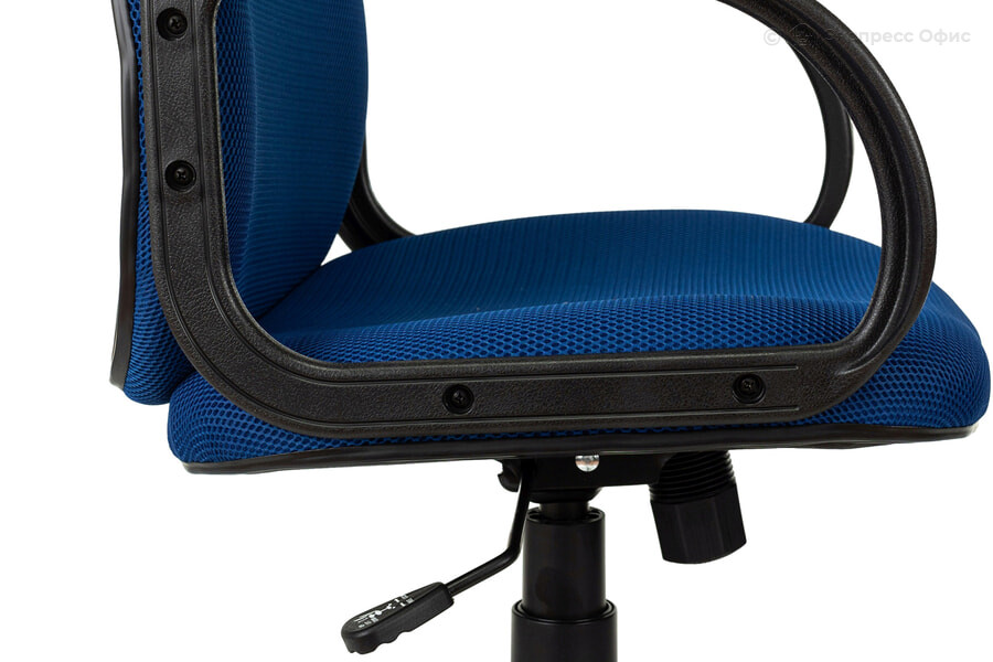 Кресло для руководителя Бюрократ CH-808AXSN/TW-10 - фото товара 6 из 10