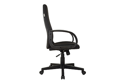 Кресло для руководителя Бюрократ CH-808AXSN/#B - фото товара 3 из 10