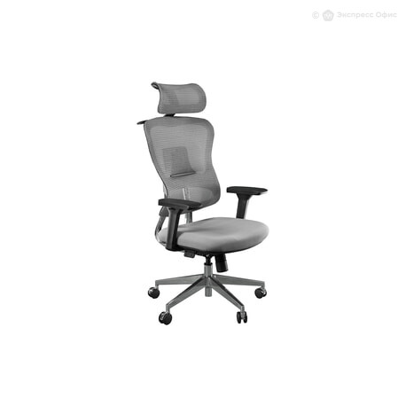 Купить кресло для руководителя Expert Ergo Fly FLY HBH01C GRAY Ткань ...