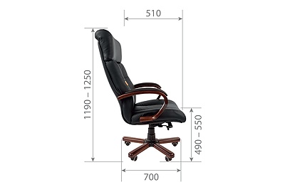 Кресло для руководителя Chairman 421 - фото товара 4 из 6