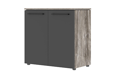 Шкаф для документов с глухими малыми дверьми Morris Trend MLC 85.1 - фото товара 1 из 3