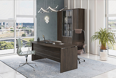 Кабинет руководителя Vasanta - фото товара 1 из 14