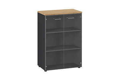 Шкаф для документов средний со стеклянными дверями Flex 135H003 15/6Z.34 - фото товара 1 из 3