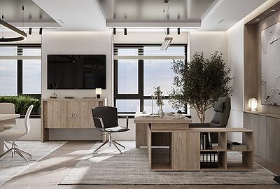 Кабинет руководителя Solid - фото товара 4 из 16