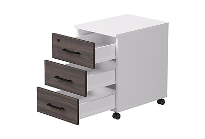 Тумба для документов мобильная EVO 254T001W3/W3/DK - фото товара 2 из 4