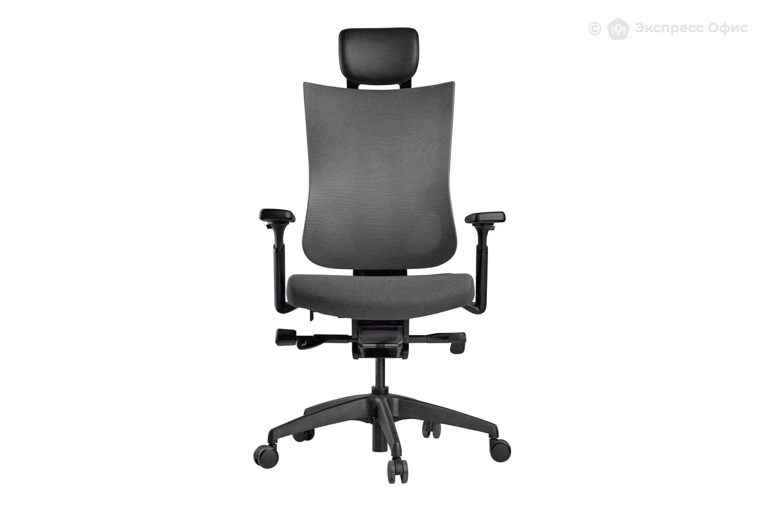 Кресло для руководителя Schairs Tone M01B - фото товара 2 из 7