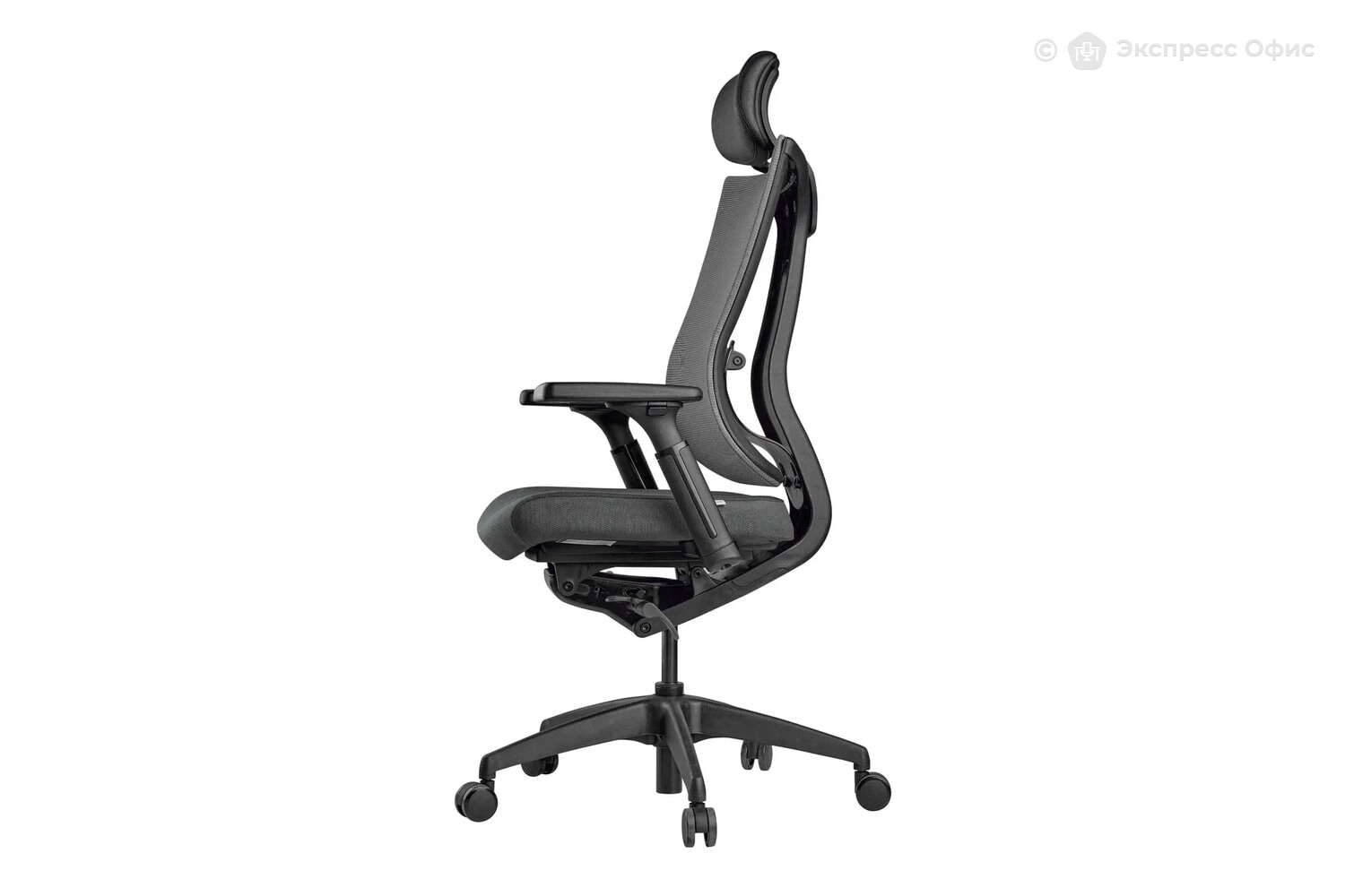 Кресло для руководителя Schairs Tone M01B - фото товара 5 из 7