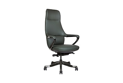 Кресло для руководителя Titanium FG-1822A-1 - фото товара 1 из 7