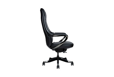 Кресло для руководителя Titanium FG-1822A-2 - фото товара 3 из 6