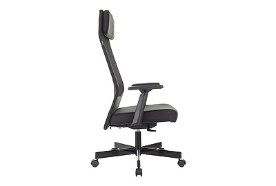 Кресло для руководителя Бюрократ T-995/NEO-BLACK - фото товара 3 из 15