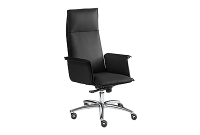 Кресло для руководителя Epsilon Luxe A - фото товара 1 из 3