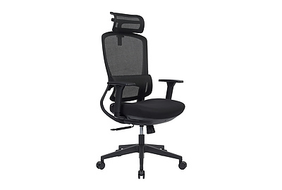 Кресло для руководителя Skill RCH 6245AX - фото товара 1 из 18
