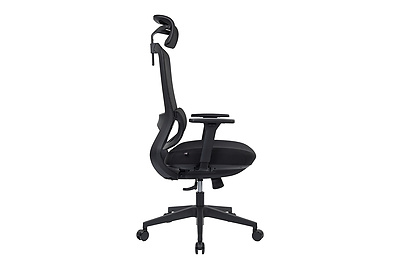 Кресло для руководителя Skill RCH 6245AX - фото товара 3 из 18