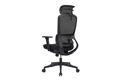 Кресло для руководителя Skill RCH 6245AX - фото товара 6 из 18