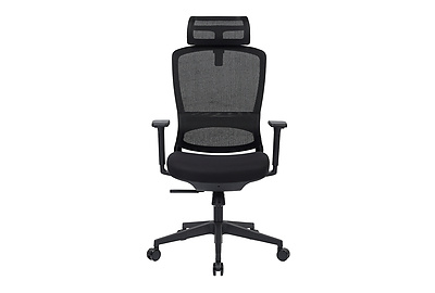 Кресло для руководителя Skill RCH 6245AX - фото товара 2 из 18