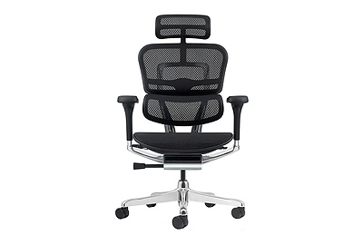 Кресло для руководителя Ergohuman Elite 2 - фото товара 2 из 6
