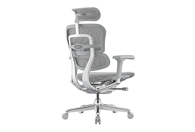 Кресло для руководителя Ergohuman Elite 2 - фото товара 4 из 6