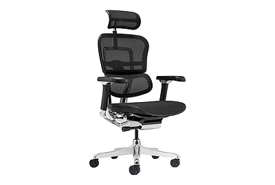 Кресло для руководителя Ergohuman Luxury 2 - фото товара 1 из 6