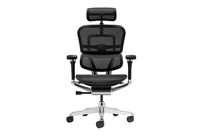 Кресло для руководителя Ergohuman Luxury 2 - фото товара 2 из 6