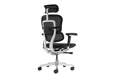 Кресло для руководителя Ergohuman Luxury 2 - фото товара 4 из 6
