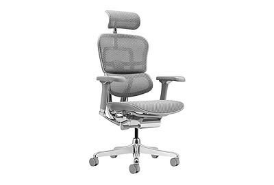 Кресло для руководителя Ergohuman Luxury 2 - фото товара 1 из 6