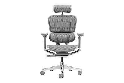 Кресло для руководителя Ergohuman Luxury 2 - фото товара 2 из 6