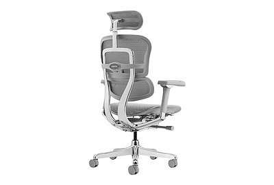 Кресло для руководителя Ergohuman Luxury 2 - фото товара 4 из 6