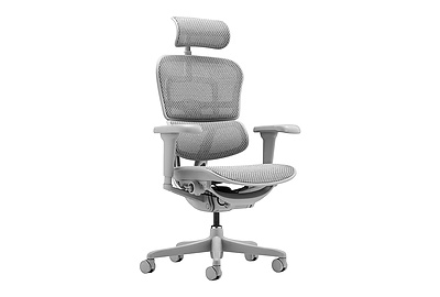 Кресло для руководителя Ergohuman Ultra - фото товара 1 из 6
