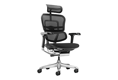 Кресло для руководителя Ergohuman Elite 2 - фото товара 1 из 7