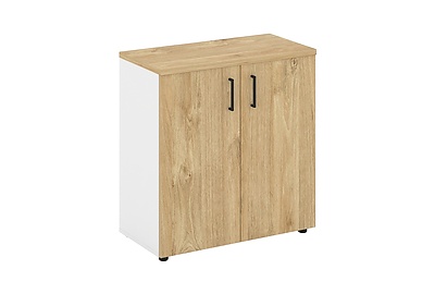 Шкаф для документов низкий широкий Style Project SN.STS.E-301 - фото товара 1 из 4