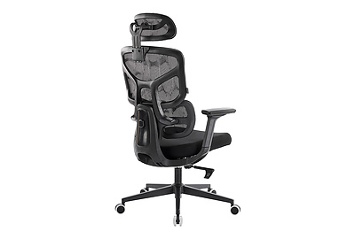 Эргономичные кресла EP Omega BL M Black - фото товара 3 из 7