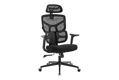 Эргономичные кресла EP Omega BL M Black - фото товара 1 из 7