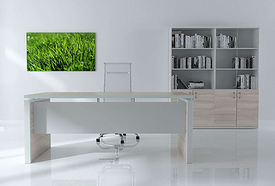 Кабинет руководителя Steel evo - фото товара 1 из 5