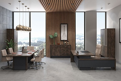 Кабинет руководителя Torston - фото товара 2 из 25