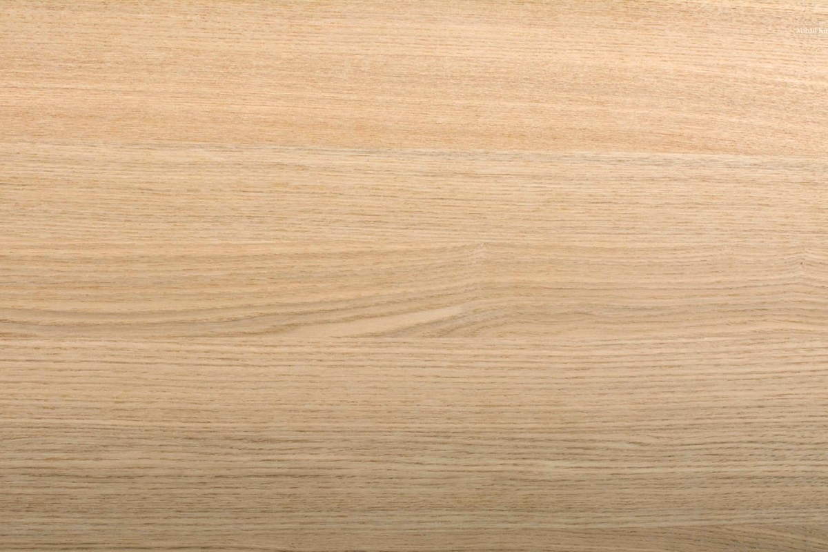Кресло дизайнерское Elegance Wood - фото товара 6 из 6